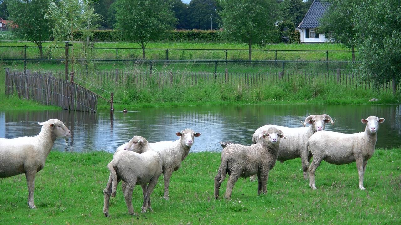 Bed and Breakfast De Turfstaeker Ospel Esterno foto